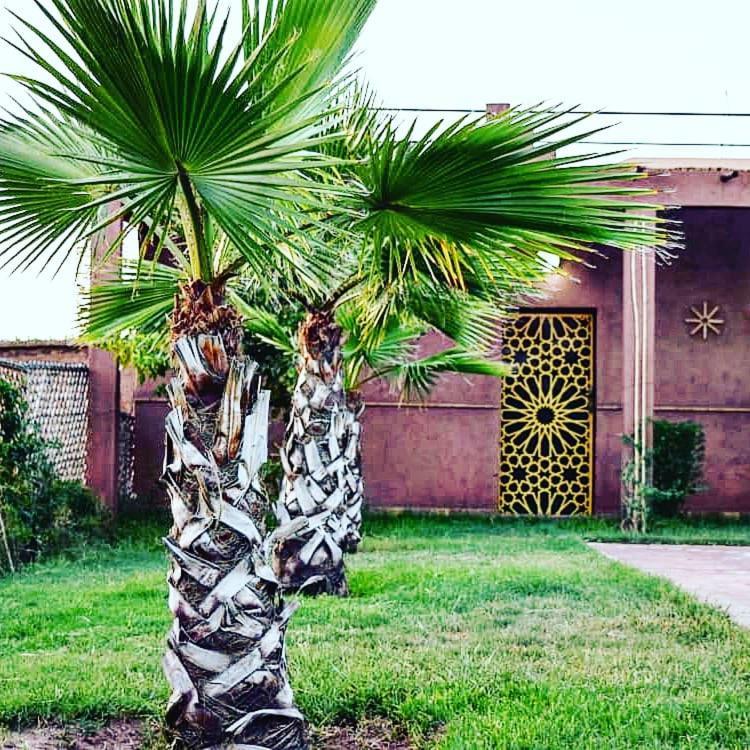 Riad Darga Rouge Ouled Bouzid Eksteriør billede